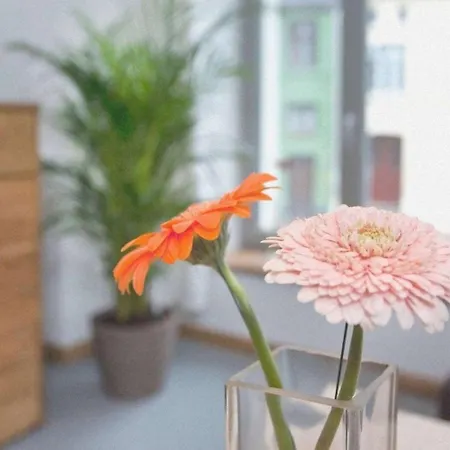 Appartement Luv An Der Nikolaikirche - Abc85